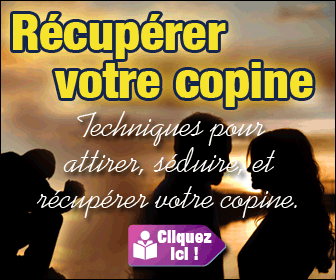 336x280 banniere avec animation